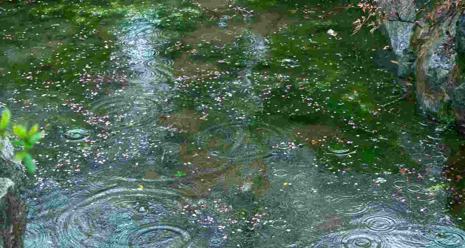 IMD issues orange alert in four Kerala districts as heavy rain, thunderstorms and strong winds hit; high UV radiation levels also recorded in parts of state. IMD issues orange alert in four Kerala districts as heavy rain, thunderstorms and strong winds hit; high UV radiation levels also recorded in parts of state.