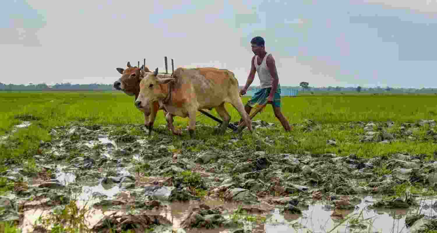 Khet Bachao Andolan: Genuine reform or diversionary tactic? Khet Bachao Andolan: Genuine reform or diversionary tactic?