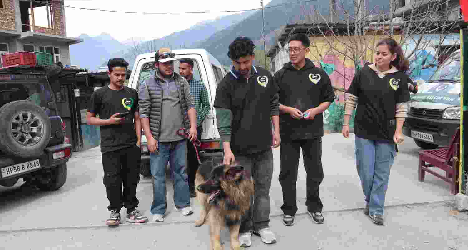 Team Manali Strays Team Manali Strays