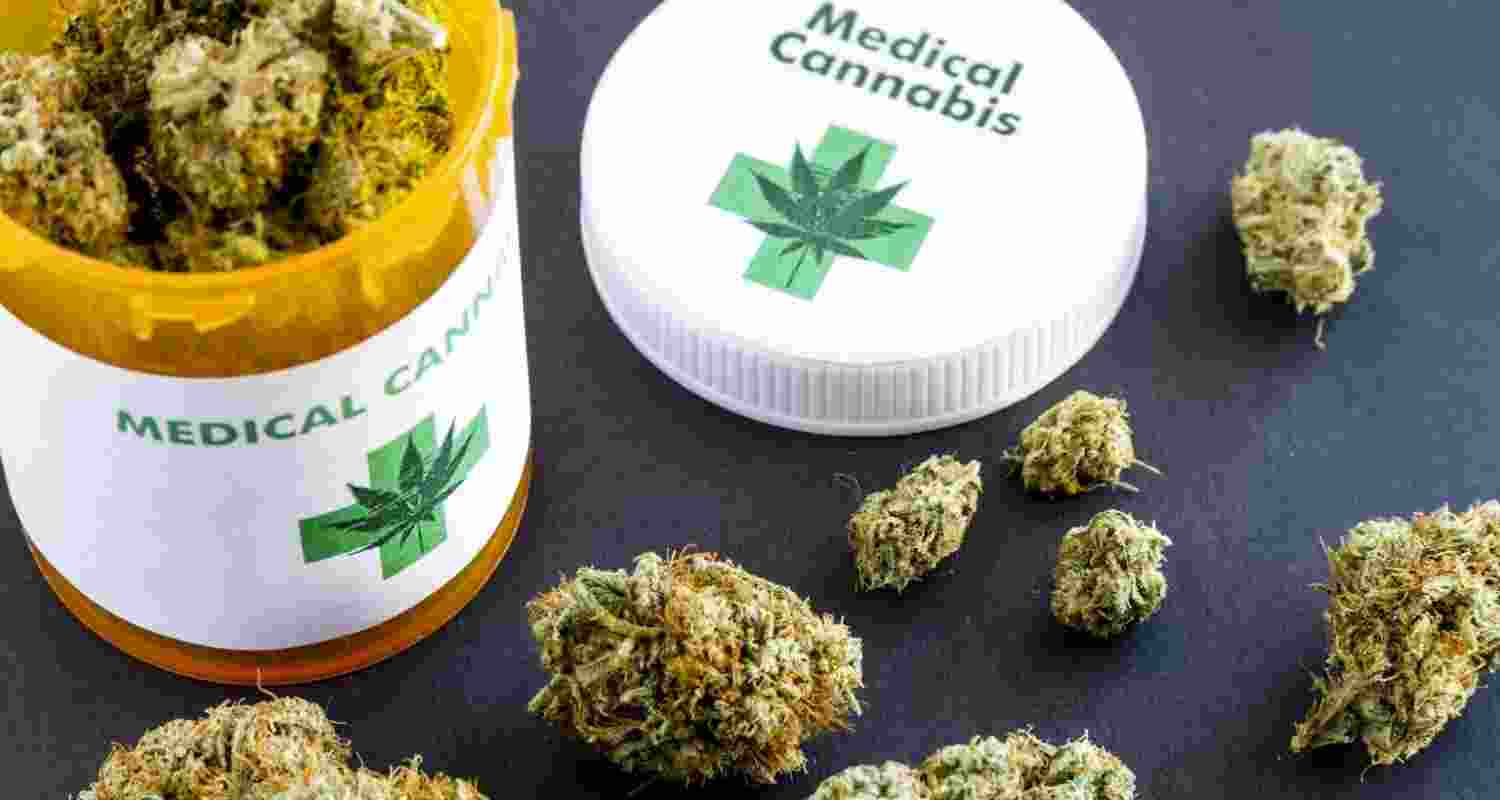 Marijuana reclassification boosts medical research Marijuana reclassification boosts medical research