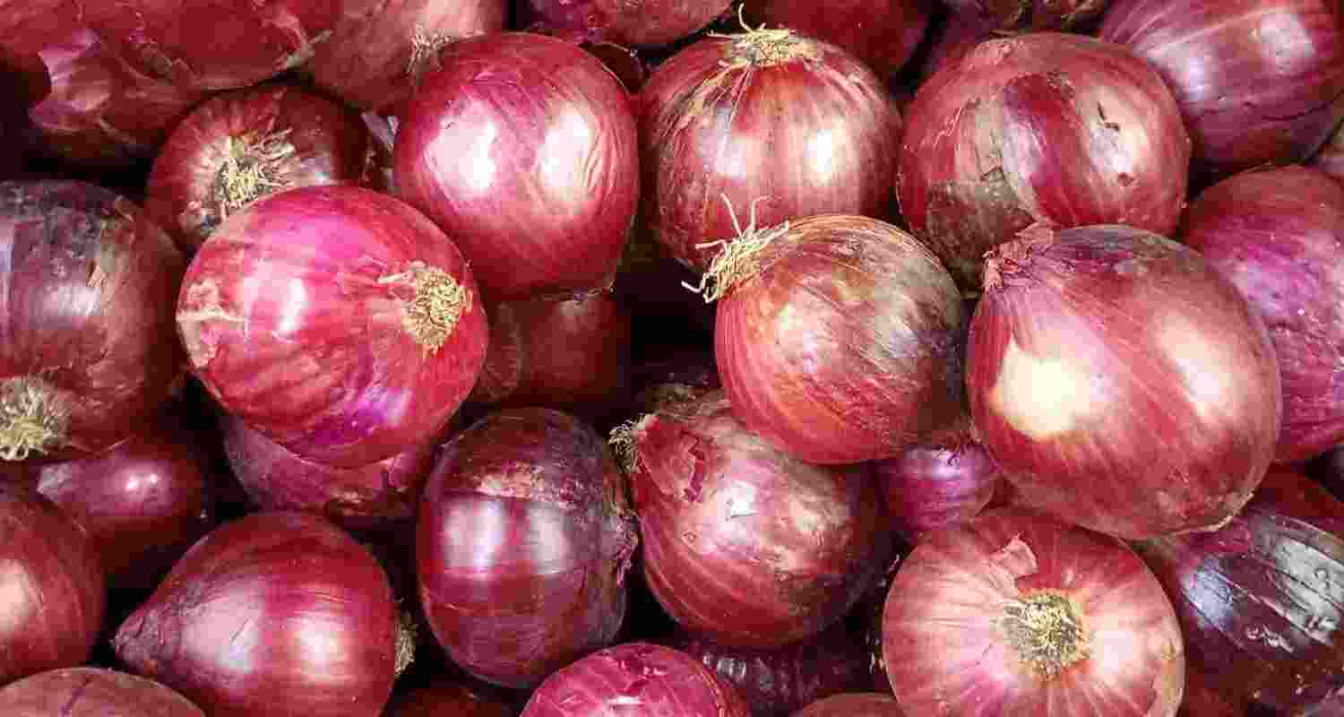 Centre to procure onions at Rs 12.35 per kg through NAFED after falling prices hit farmers amid disruptions caused by the West Asia crisis. Centre to procure onions at Rs 12.35 per kg through NAFED after falling prices hit farmers amid disruptions caused by the West Asia crisis.