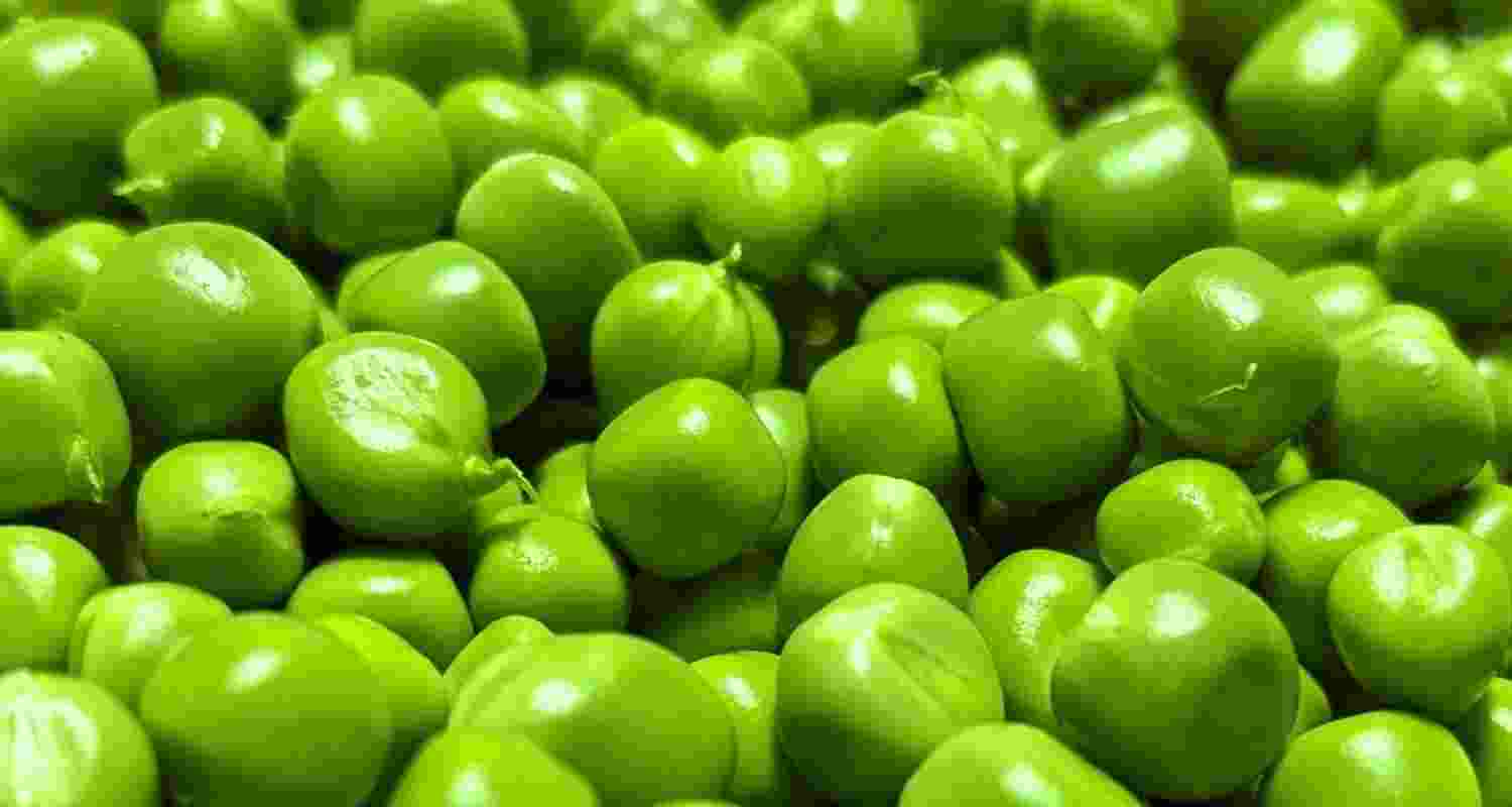 Add peas to your diet, here’s why Add peas to your diet, here’s why