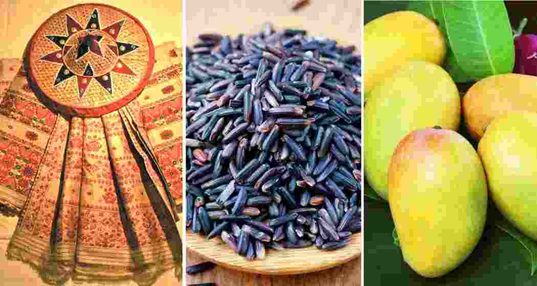 Prime Minister Narendra Modi presented Muga silk, Manipur black rice and Gujarat’s GI-tagged Kesar mangoes among traditional Indian gifts to world leaders during his five-nation diplomatic tour. Prime Minister Narendra Modi presented Muga silk, Manipur black rice and Gujarat’s GI-tagged Kesar mangoes among traditional Indian gifts to world leaders during his five-nation diplomatic tour.