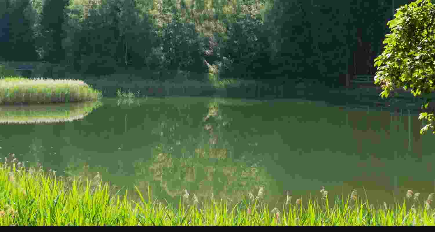 Representative Image. Representative Image.