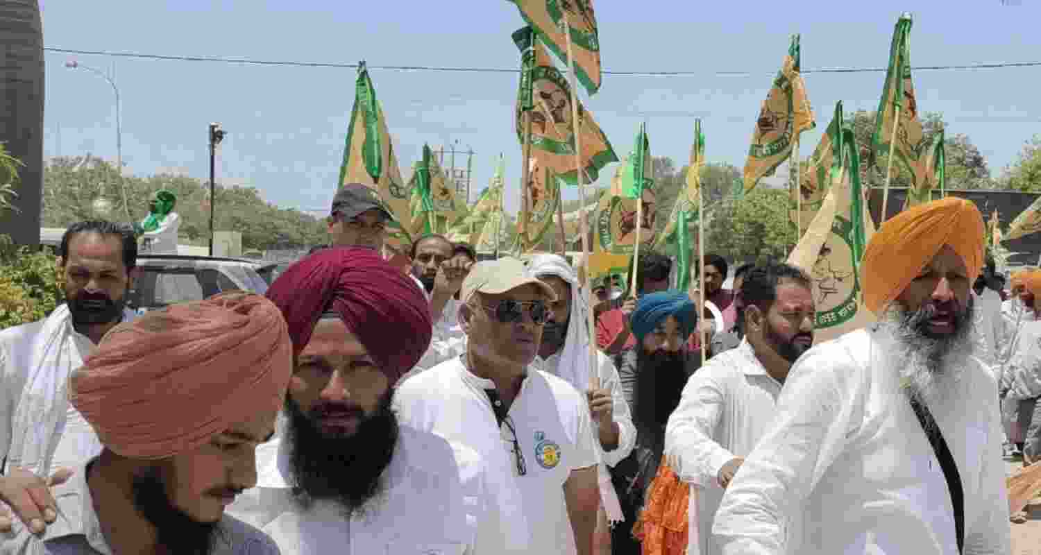 Punjab Kisan Mazdoor Morcha will hold statewide protests during PM Modi's visit, demanding legal MSP, a farm debt waiver and opposing rail privatisation. Punjab Kisan Mazdoor Morcha will hold statewide protests during PM Modi's visit, demanding legal MSP, a farm debt waiver and opposing rail privatisation.