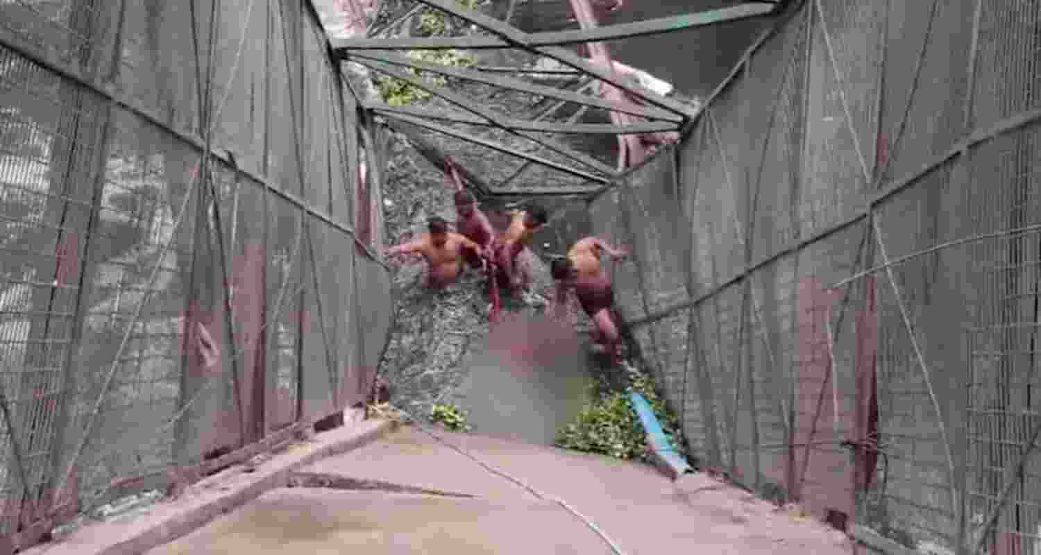 Bridge collapse in Delhi: Committe asked to give report in 48 hrs Bridge collapse in Delhi: Committe asked to give report in 48 hrs