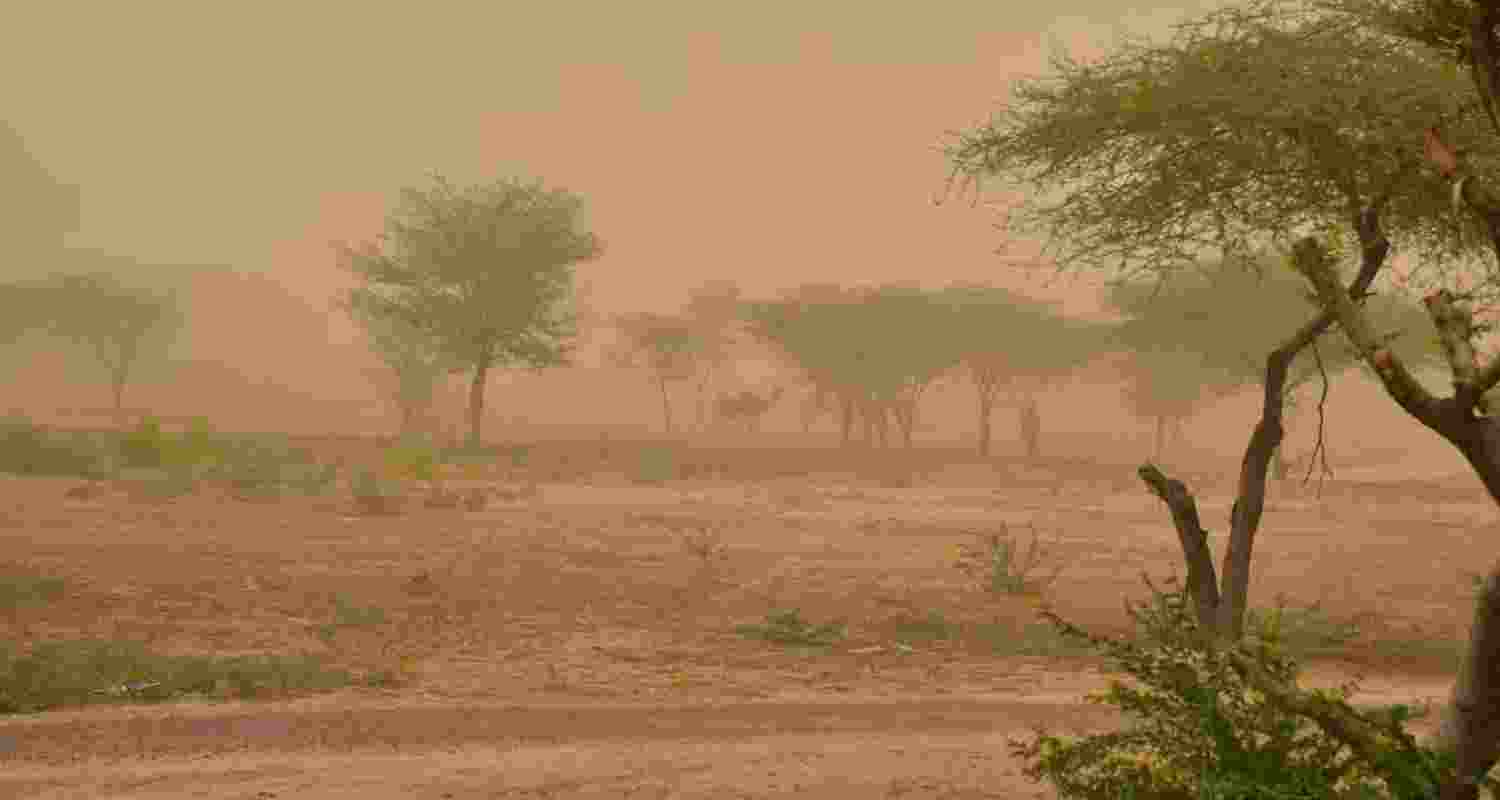 Dust storms, rain cool down scorching Rajasthan Dust storms, rain cool down scorching Rajasthan