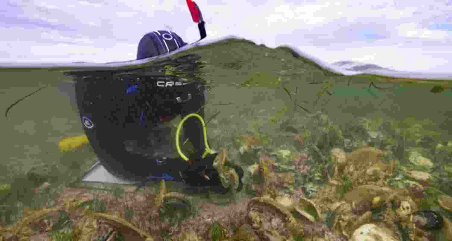 Eat oysters, save reefs Eat oysters, save reefs