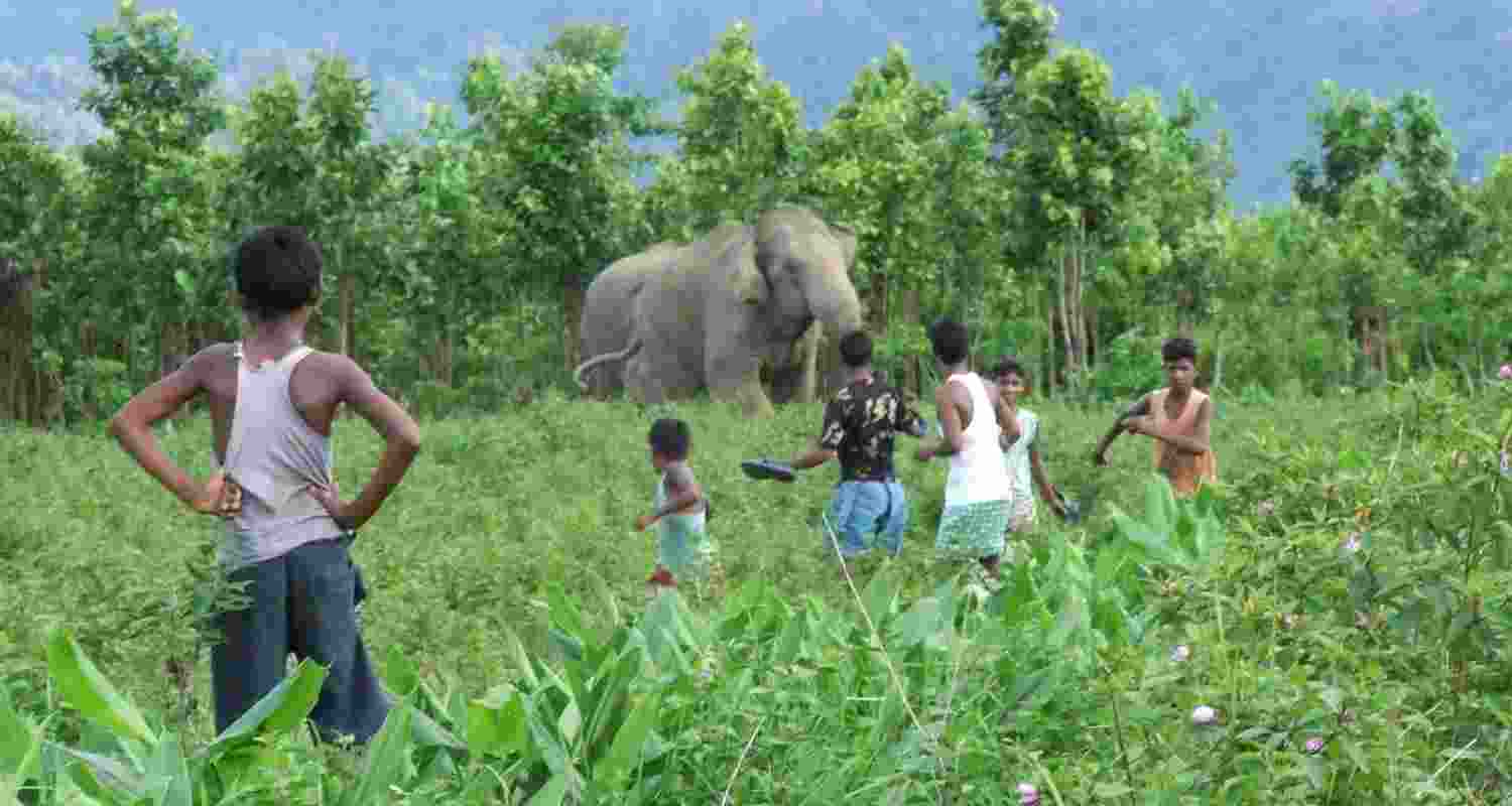 Representational image. Representational image.