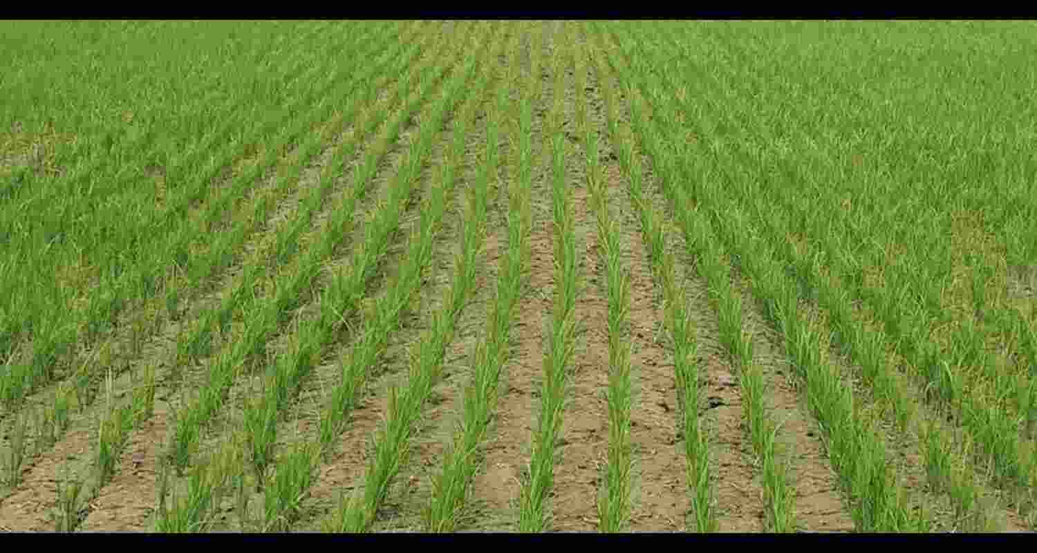 Representative Image Representative Image