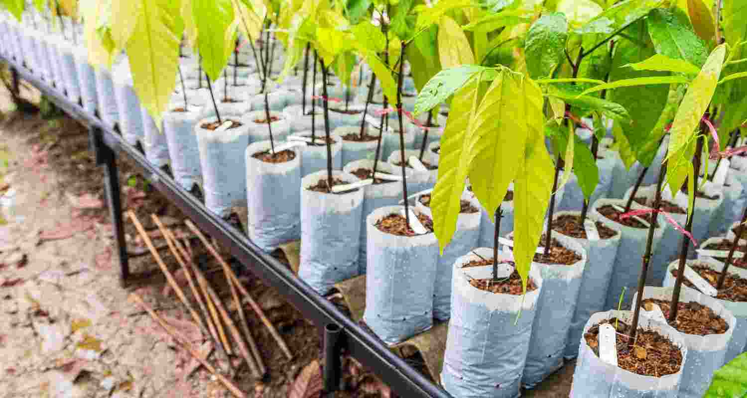 Representative Image. Representative Image.