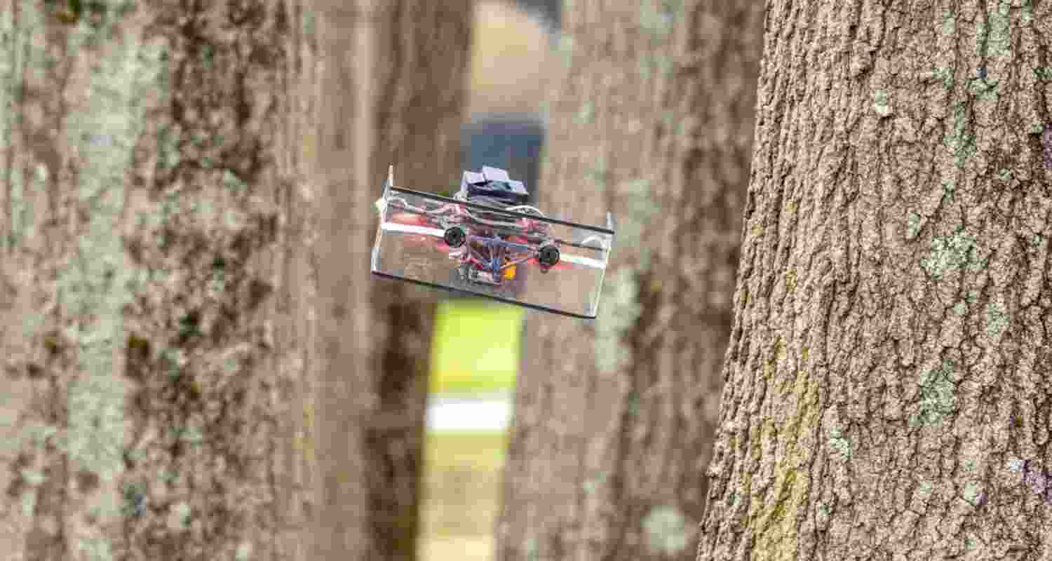 Giving tiny drones the navigation skills of bats Giving tiny drones the navigation skills of bats