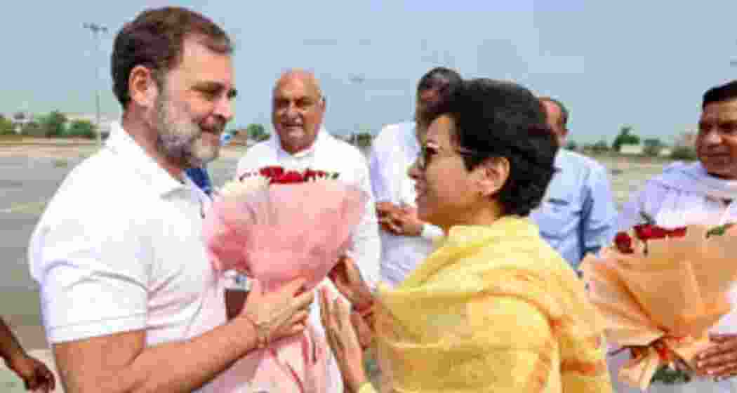 Congress leader Rahul Gandhi being welcomed by party leader Kumari Selja at Assandh in Karnal. Congress leader Rahul Gandhi being welcomed by party leader Kumari Selja at Assandh in Karnal.